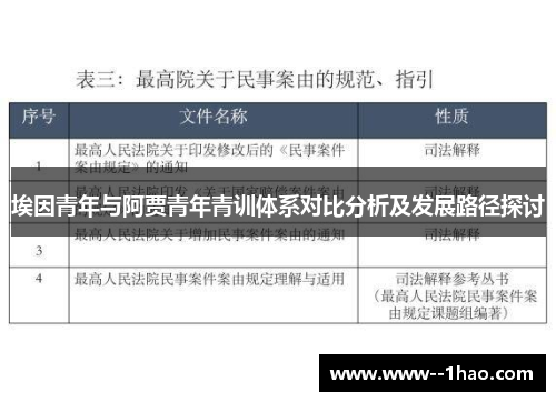 埃因青年与阿贾青年青训体系对比分析及发展路径探讨