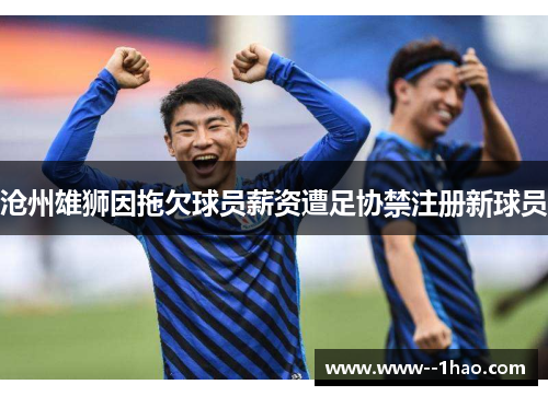 沧州雄狮因拖欠球员薪资遭足协禁注册新球员 沧州雄狮因拖欠球员薪资遭足协禁注册新球员