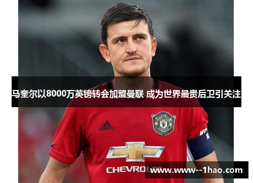 马奎尔以8000万英镑转会加盟曼联 成为世界最贵后卫引关注 马奎尔以8000万英镑转会加盟曼联 成为世界最贵后卫引关注